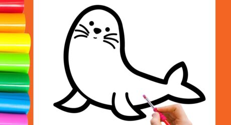 How to Draw Cute Baby Seals for Kids ?