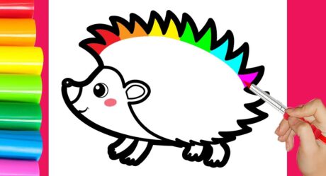 How To Draw Cute Hedgehog For Kids ?