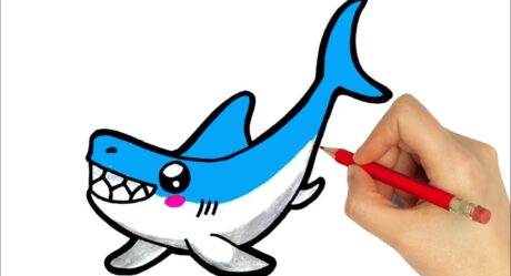 HOW TO DRAW A SHARK EASY | DRAWING A SHARK STEP BY STEP