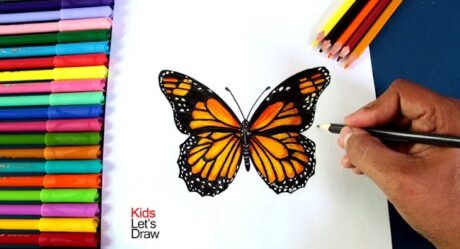 Cómo dibujar y pintar una Mariposa tipo Monarca