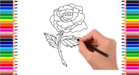 How to draw a rose step by step with pencil slowly | Drawing a rose