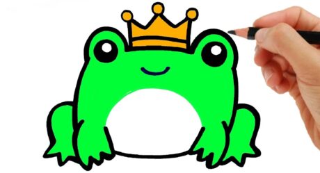 HOW TO DRAW A FROG EASY STEP BY STEP