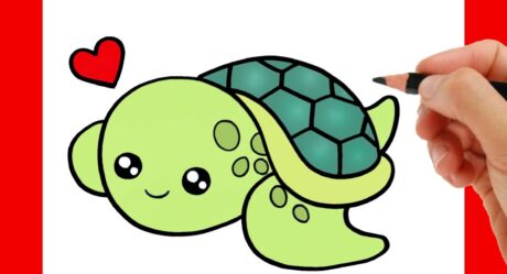 HOW TO DRAW A CUTE TURTLE EASY STEP BY STEP