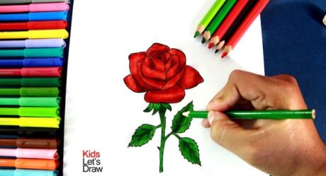 Cómo dibujar una ROSA paso a paso | Dibujos de Rosas