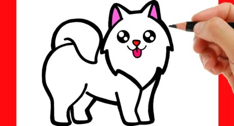HOW TO DRAW A DOG EASY STEP BY STEP