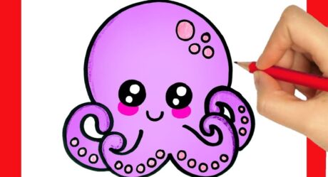 HOW TO DRAW OCTOPUS EASY STEP BY STEP – KAWAII DRAWINGS