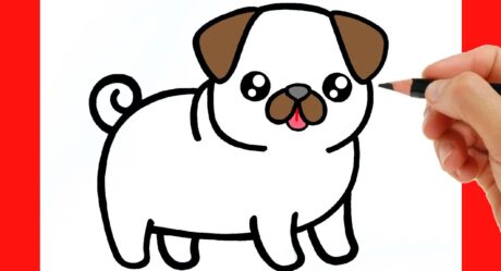 HOW TO DRAW A DOG – HOW TO DRAW A PUG